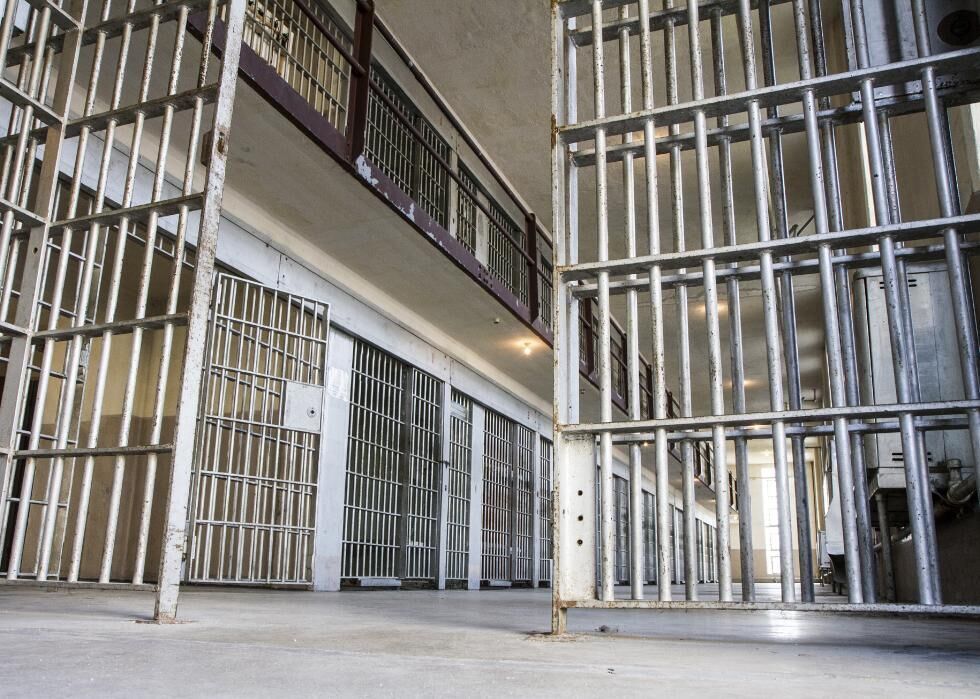 Incarceration demographics in Virginia